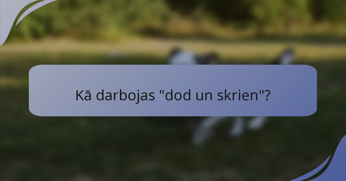 Kā darbojas 