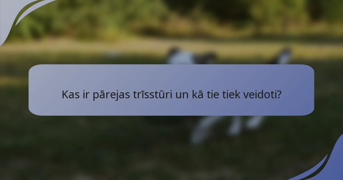 Kas ir pārejas trīsstūri un kā tie tiek veidoti?